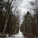 Snowy Trail ... by sunnygreenwood