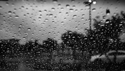 19th Apr 2024 - Rainy Day