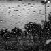 Rainy Day by ramr