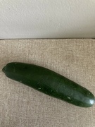 20th Apr 2024 - Z Is for Zucchini 