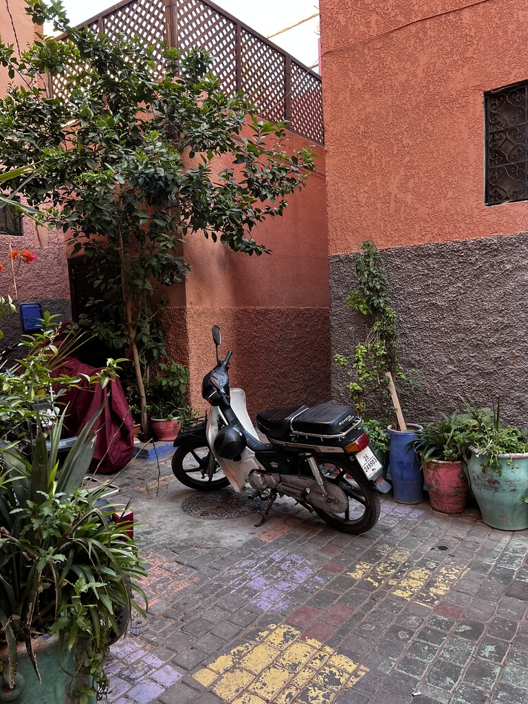 Two-wheelers rule in Marrakesh by cadu