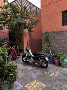15th Apr 2024 - Two-wheelers rule in Marrakesh