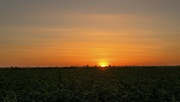 10th Apr 2024 - Sunset over the fields
