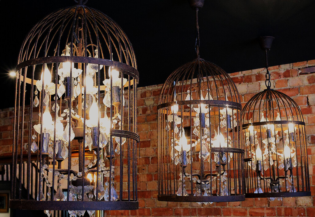 Chandeliers in Bird Cages... by neil_ge