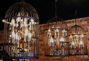 20th Apr 2024 - Chandeliers in Bird Cages...