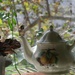 Hummer on Teapot Spout by peekysweets