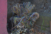 17th Apr 2024 - Colored Wires