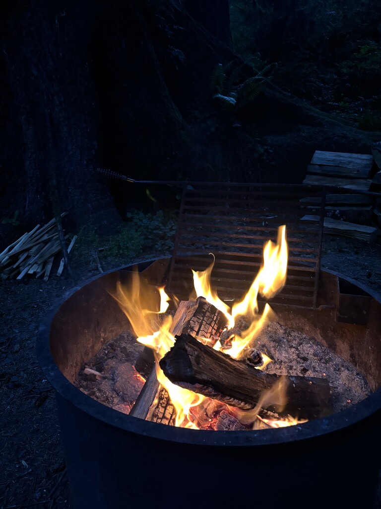 First campfire of the season by pirish