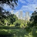 Royal botanic gardens Sydney  by sonyam