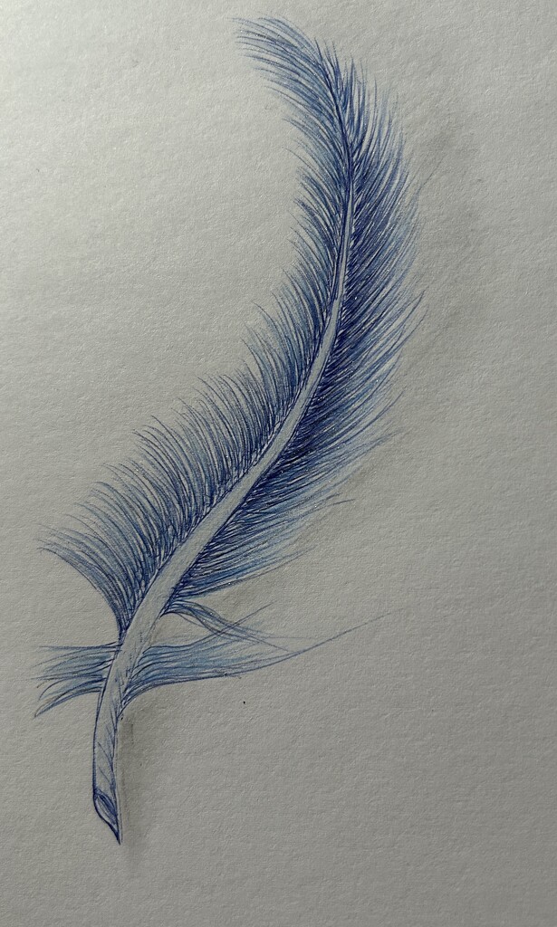 Blue feather  by tracybeautychick