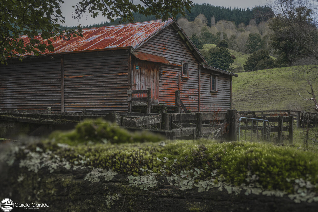 Rusty sheds and mossy walls by yorkshirekiwi