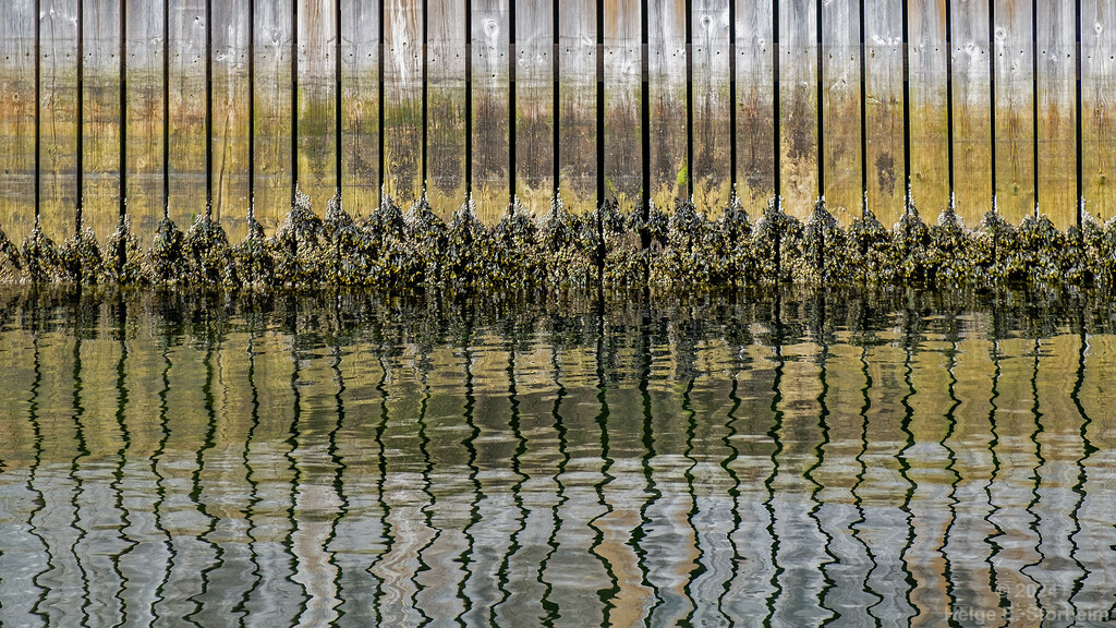 Jetty abstract by helstor365