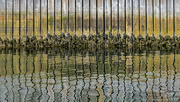 21st Apr 2024 - Jetty abstract