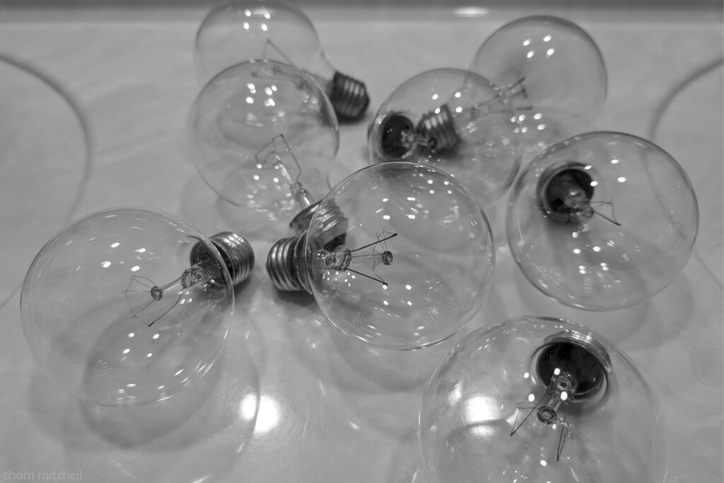 Bulbs by rhoing