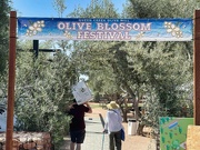 20th Apr 2024 - 4 20 Entrance to the Olive Blossom Festival