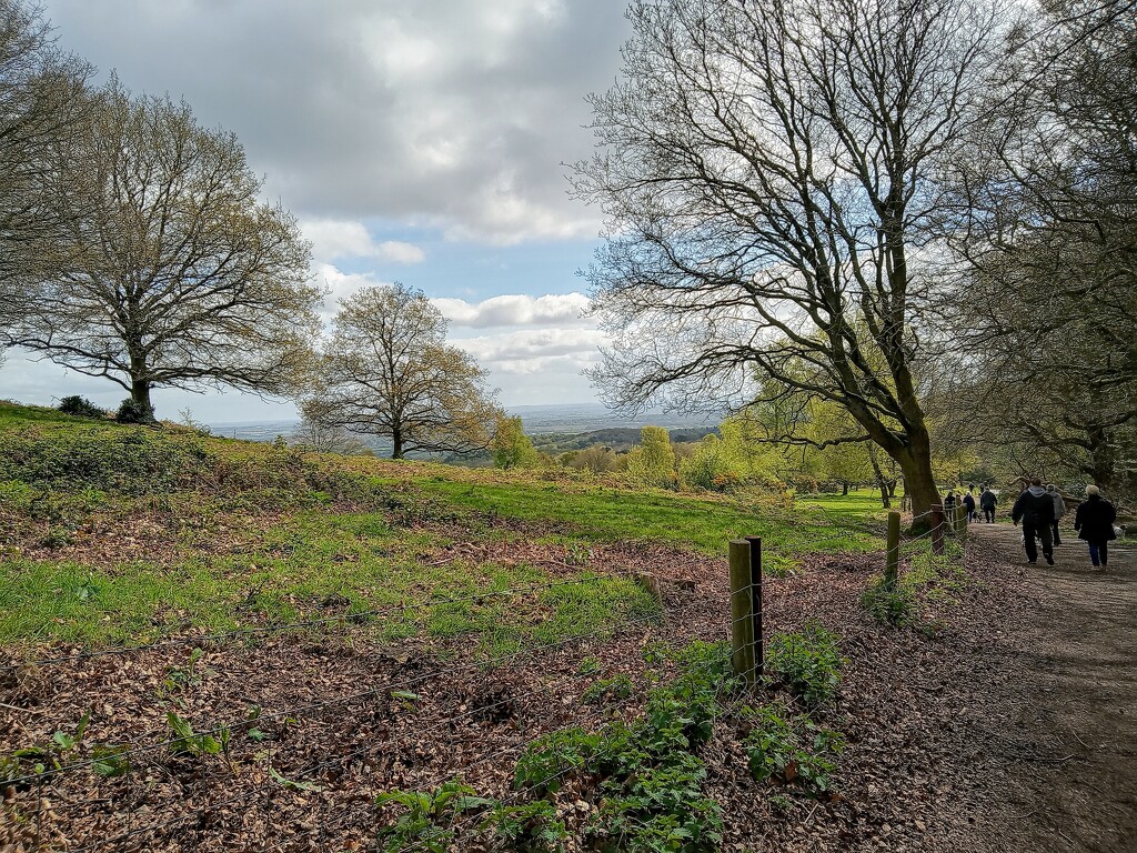 Beacon Hill Country park Loughborough  by 365projectorgjoworboys