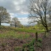 Beacon Hill Country park Loughborough  by 365projectorgjoworboys