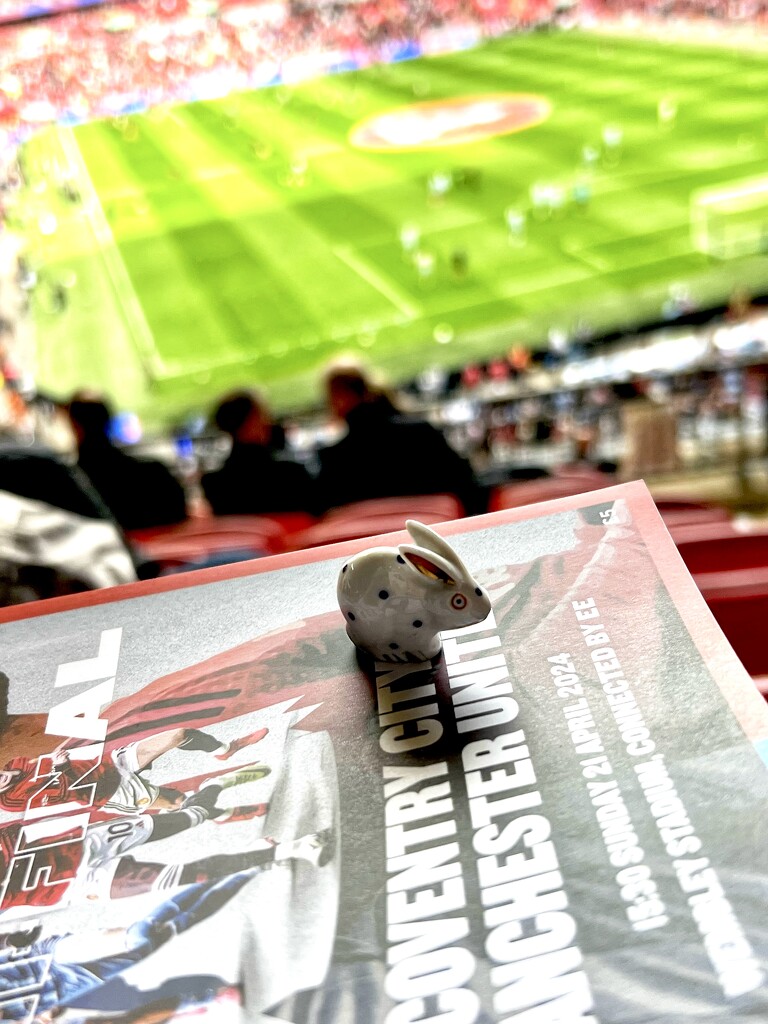 Bunny goes to Wembley  by rensala