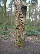 22nd Apr 2024 - Man of the forest 