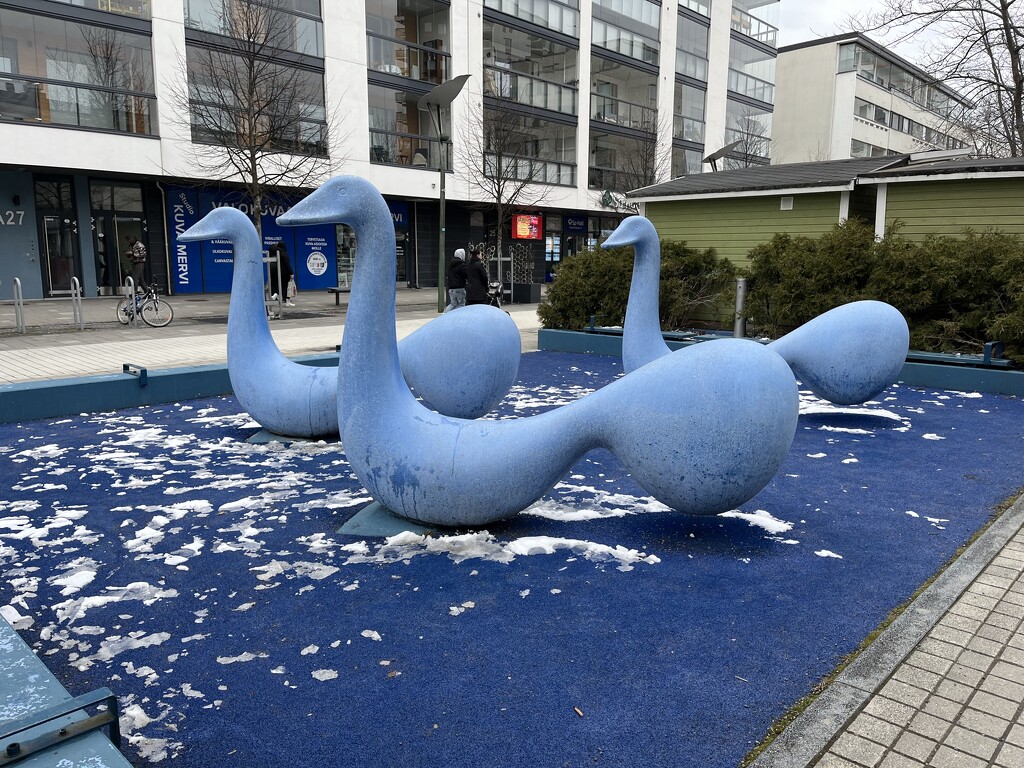 Blue swans by tiss