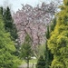 Spring shades of green and pink by berelaxed