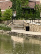 21st Apr 2024 - Riverwalk lighted steps