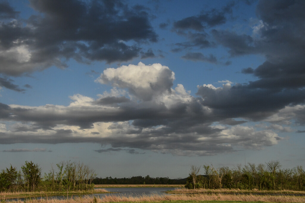 Baker Wetlands Cloudscape 4-16-24 by kareenking