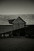 22nd Apr 2024 - The Barn
