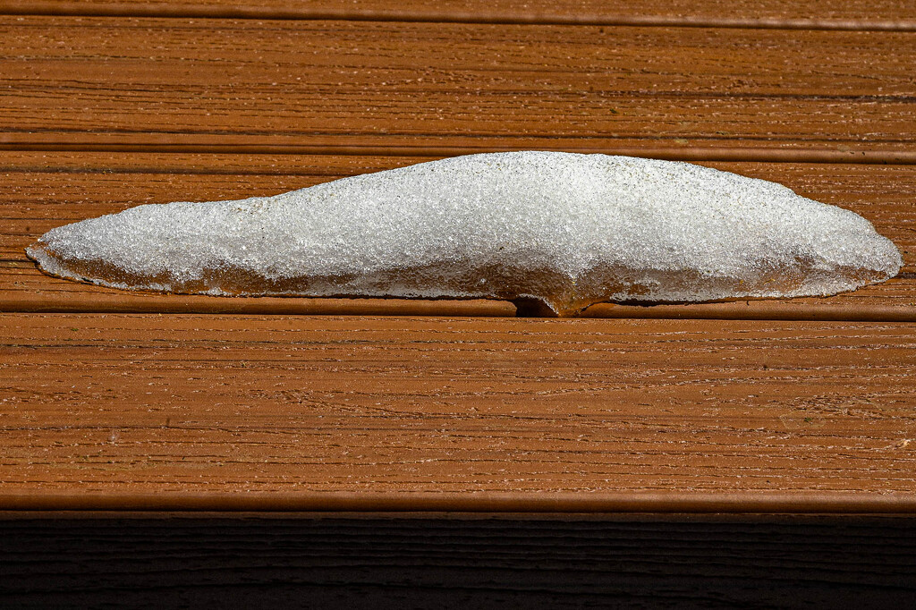 Snow Slug by ososki