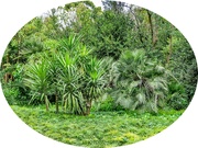 22nd Apr 2024 - Green On Green,National Gardens,Athens