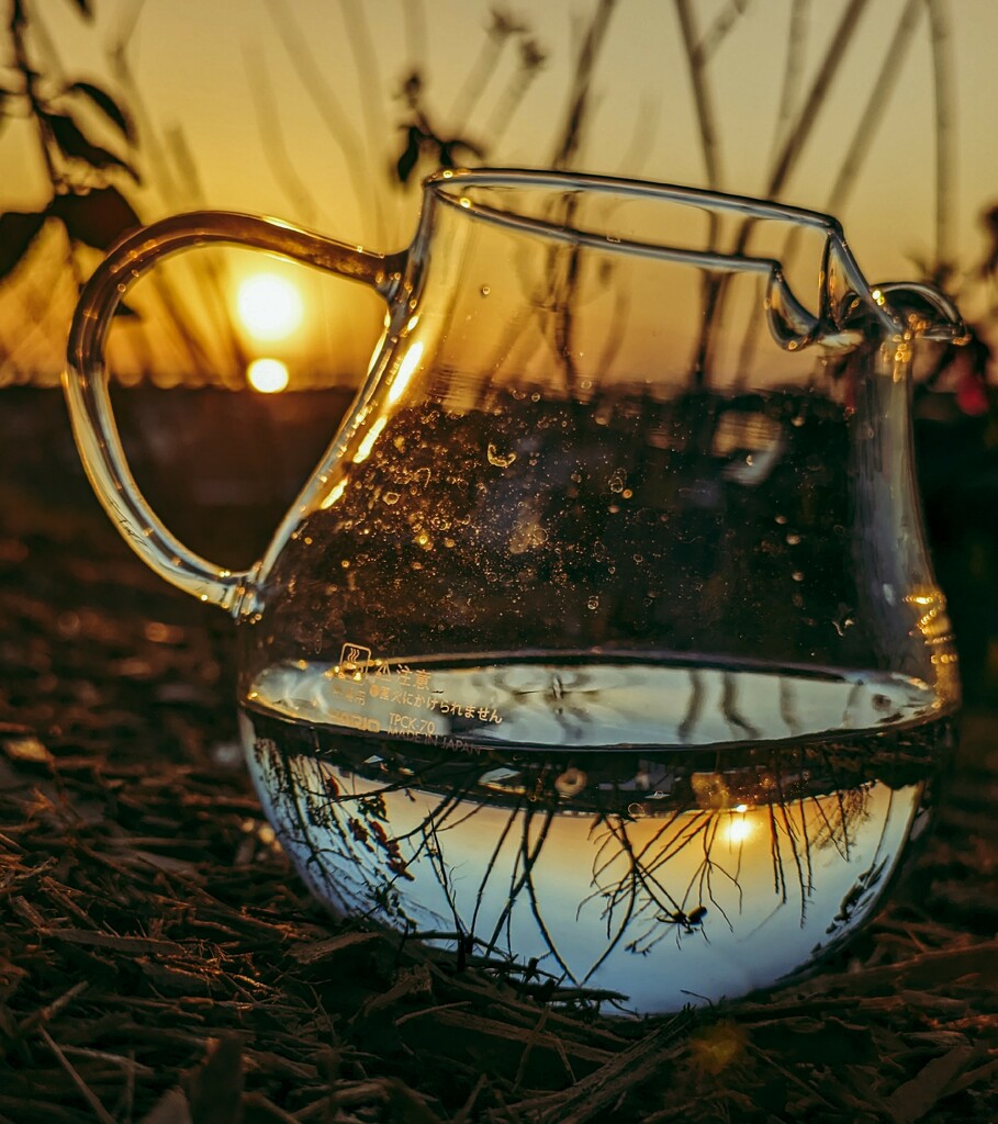 Sunset Lemonade  by photohoot