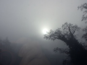 3rd Mar 2024 - Morning fog