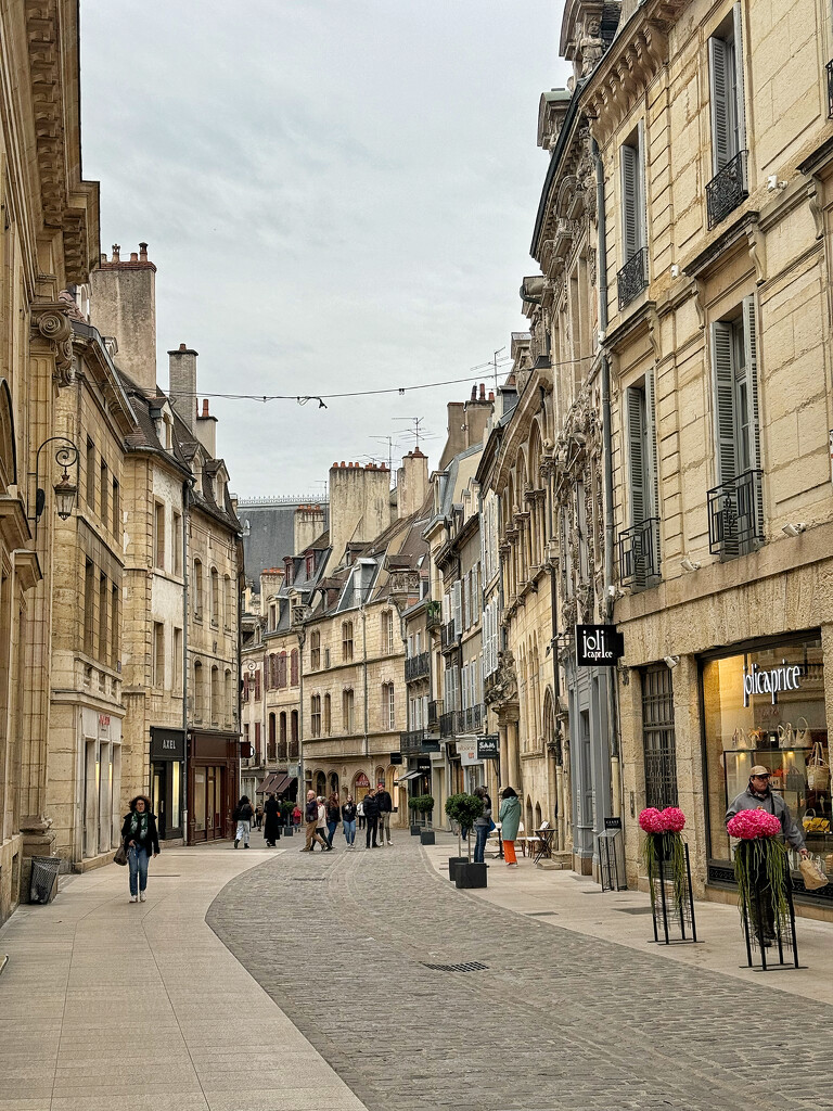 Strolling in Dijon.  by cocobella