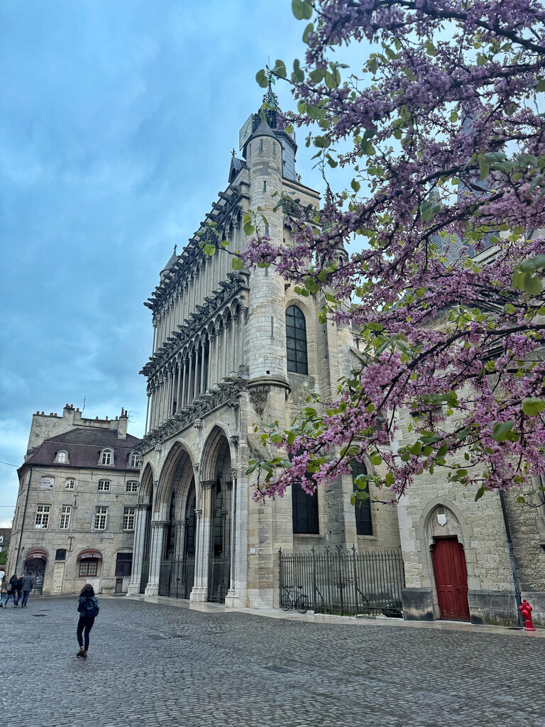Notre-Dame de Dijon.  by cocobella