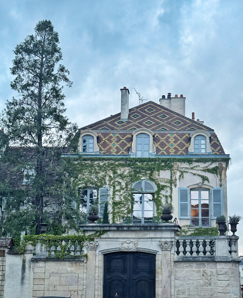 House in Dijon.  by cocobella