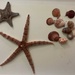 Treasures From the Sea