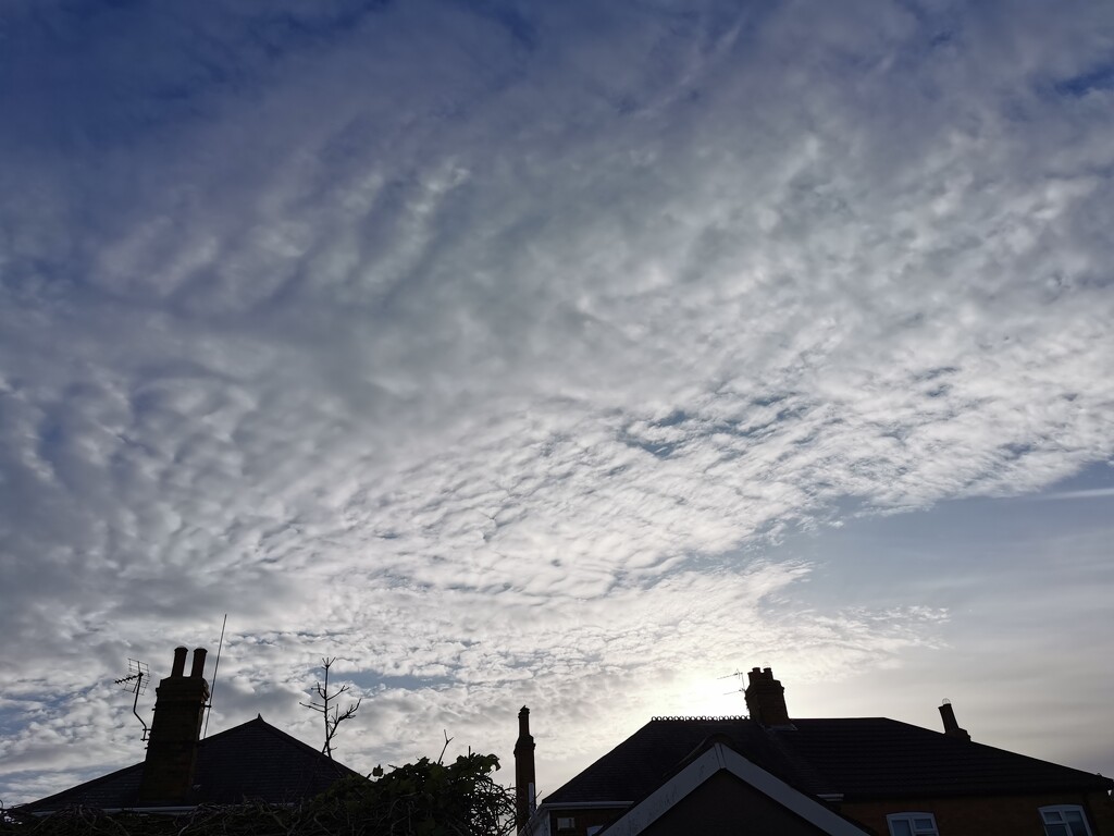 Today's Sky by plainjaneandnononsense
