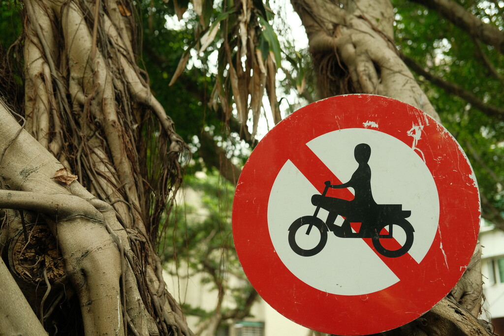 No Motorbikes by kevinlan315