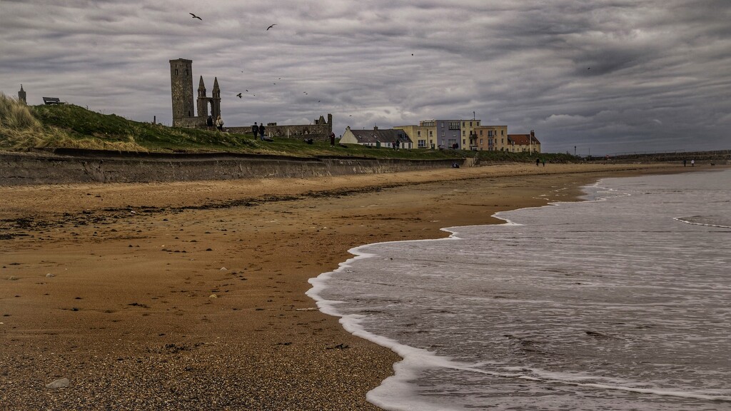 Looking along the East Sands in St Andrews. by billdavidson