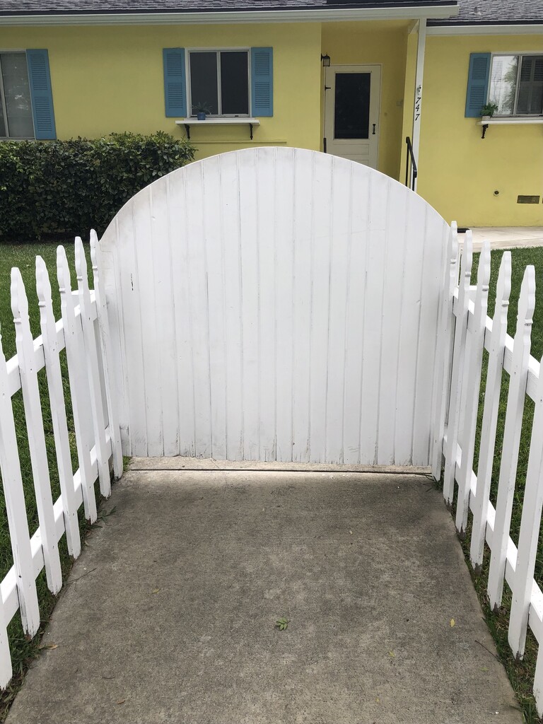 Fence by loweygrace