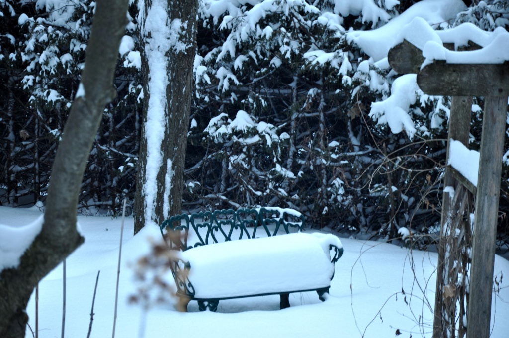 Snow Bench by cwarrior