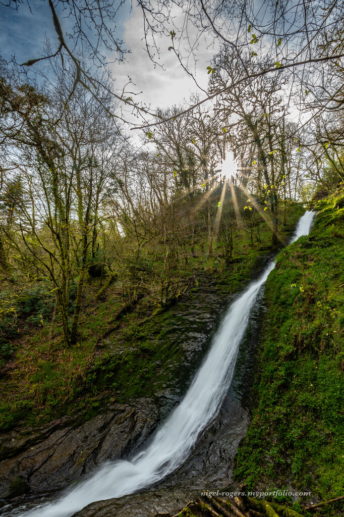 White Lady Waterfall - Lydford by nigelrogers