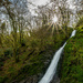 White Lady Waterfall - Lydford