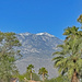 April 15 San Jacinto Peak From Bruce And Kathys Driveway IMG_0022AA by georgegailmcdowellcom