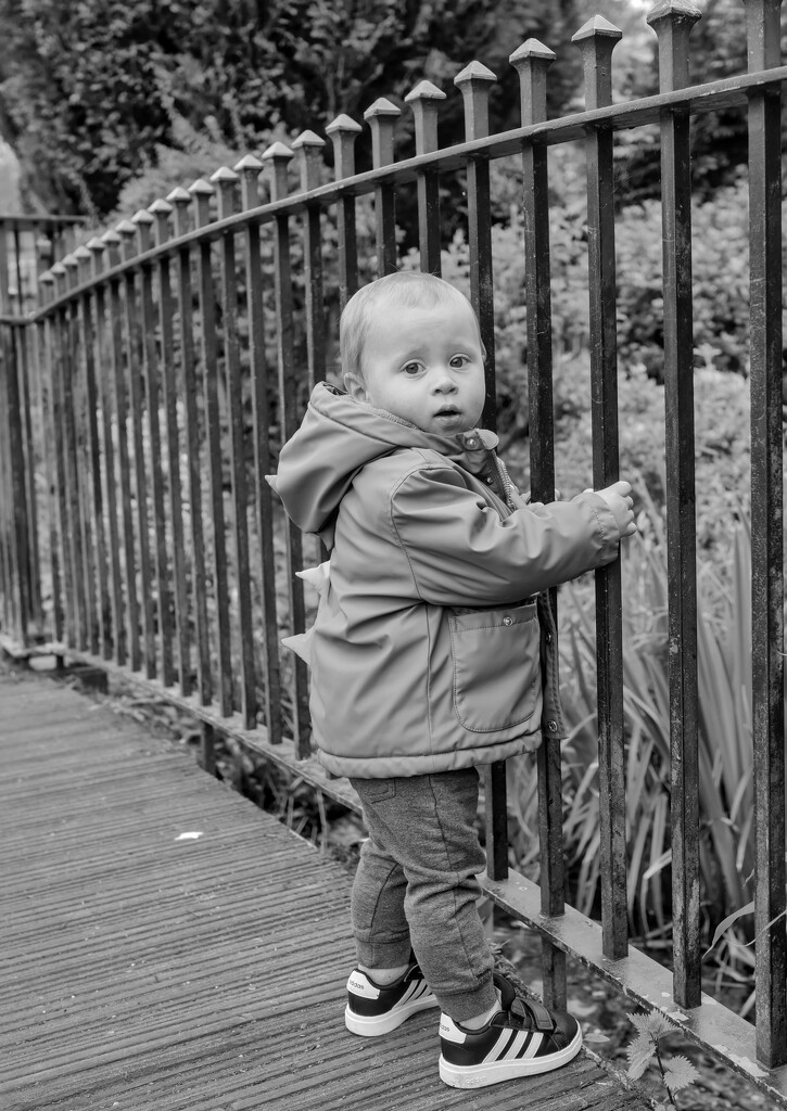 Alfie at the the Duck Park  by phil_howcroft