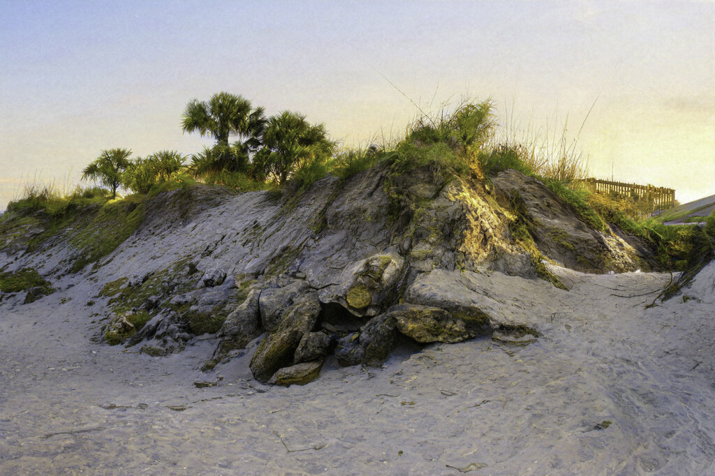beach grassy hill in St. Augustine FL by myhrhelper