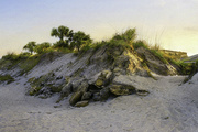 16th Apr 2024 - beach grassy hill in St. Augustine FL