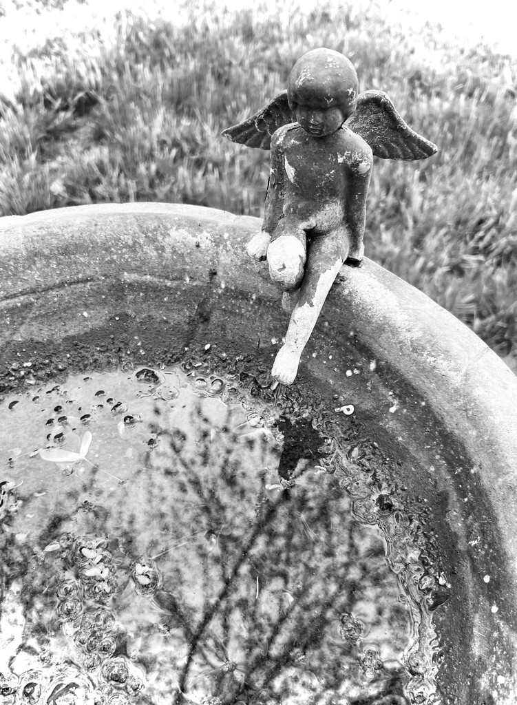 Angel on a Bird Bath by sjgiesman