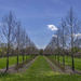 Ailee' of trees - Cox Arboretum by ggshearron