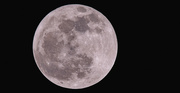 24th Apr 2024 - Last Night's Full Moon!